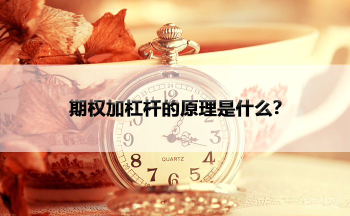 瑞和网|期权加杠杆的原理是什么? 瑞和网|期权加杠杆的原理是什么?