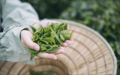哪里可以找到低息股票配资公司？