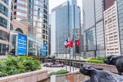 十大民间炒股高手·路雷：揭秘独具慧眼的投资秘密