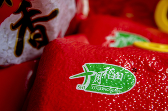 瑞和网配资|【澳门炒港股】揭秘澳门投资者开户炒港股的相关规定和渠道
