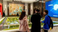  量价逆探：揭秘缩量回踩背后的策略分析