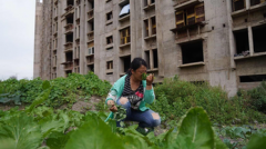  建设银行香港卡: 激发财经新引擎