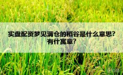 实盘配资梦见满仓的稻谷是什么意思？有什寓意？