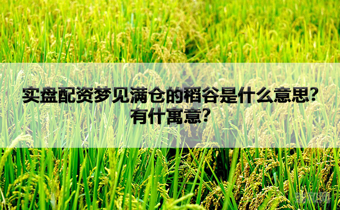 实盘配资梦见满仓的稻谷是什么意思？有什寓意？.jpg