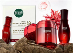 瑞和网配资|如何在大陆炒港股？