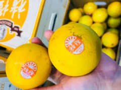 股票派息后股价的变化趋势及影响——解析派息对股价的影响