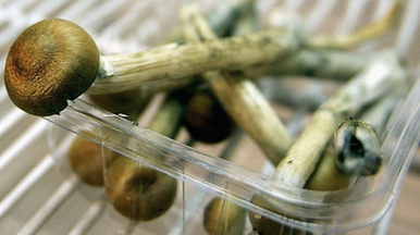 瑞和网配资| 雪盈证券官网APP下载：量身定制的财经利器