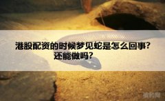 港股配资的时候梦见蛇是怎么回事？还能做吗？