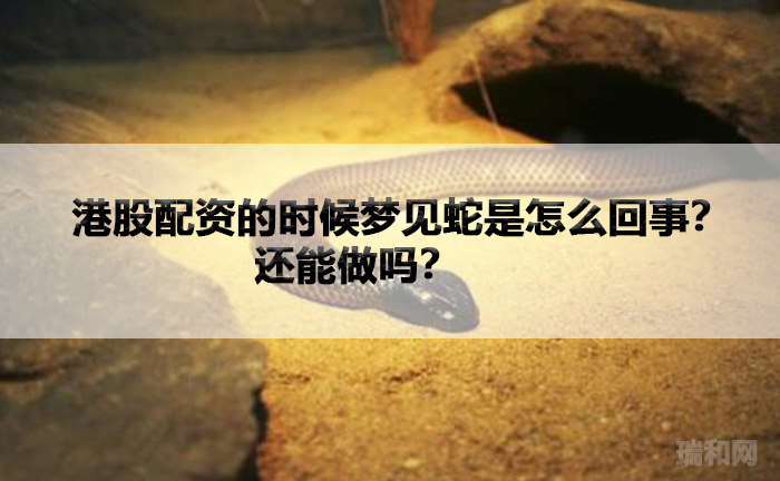 瑞和网|港股配资的时候梦见蛇是怎么回事？还能做吗？