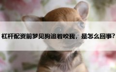 杠杆配资前梦见狗追着咬我，是怎么回事？