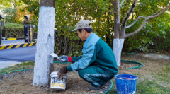 股票中签操作指南：银转账与关联银行卡的选择